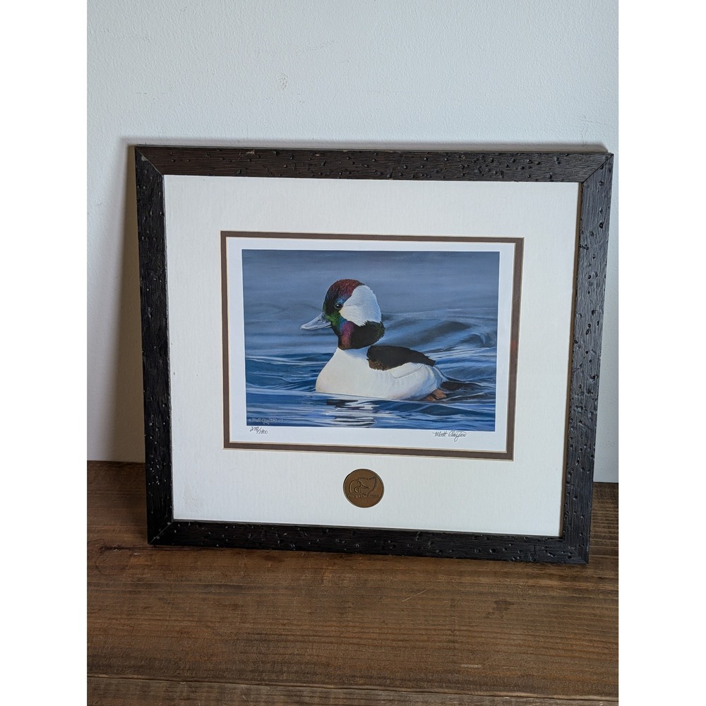 Matt Clayton Ducks Unlimited 2016 Signed Print 278/1800 Bufflehead Duck Framed